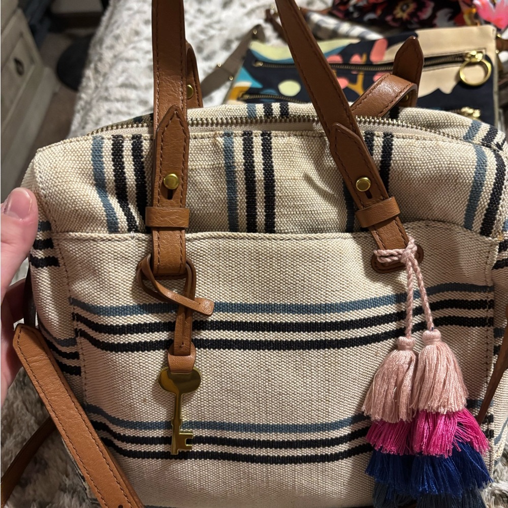 Fossil Tan and Blue Striped Crossbody Bag